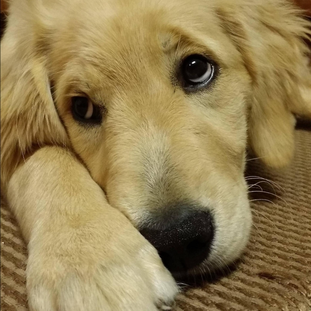 Please Share This Listing ~ My Apologies